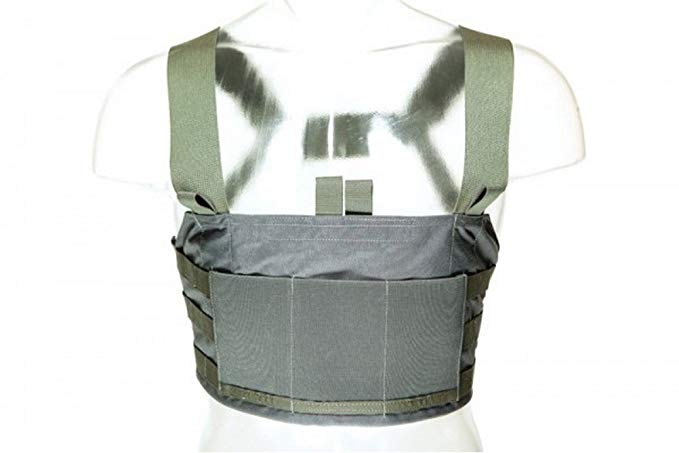 Blue Force Gear Ten-Speed 308/SR25 Chest Rig